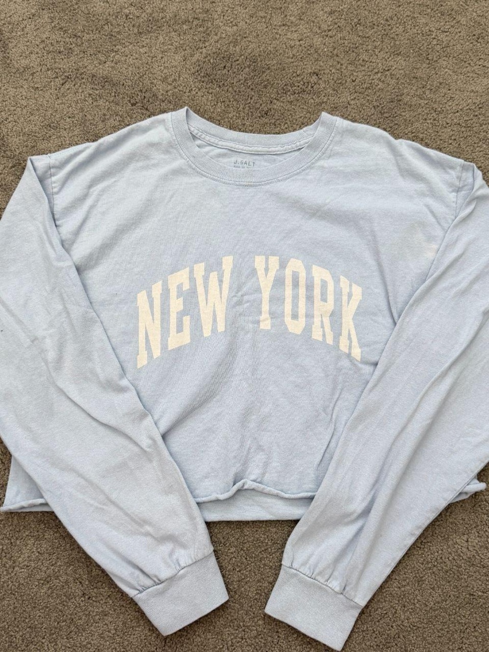 Brandy Melville Light Blue New York Cropped Long Sleeve Tee